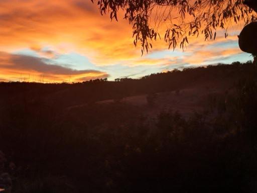 Highroost Bed & Breakfast Accomodation - Rural Escape Red Creek Bagian luar foto