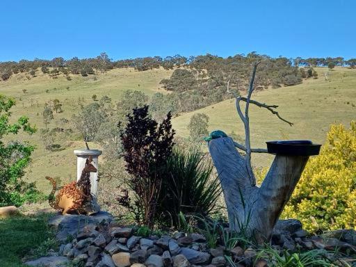 Highroost Bed & Breakfast Accomodation - Rural Escape Red Creek Bagian luar foto